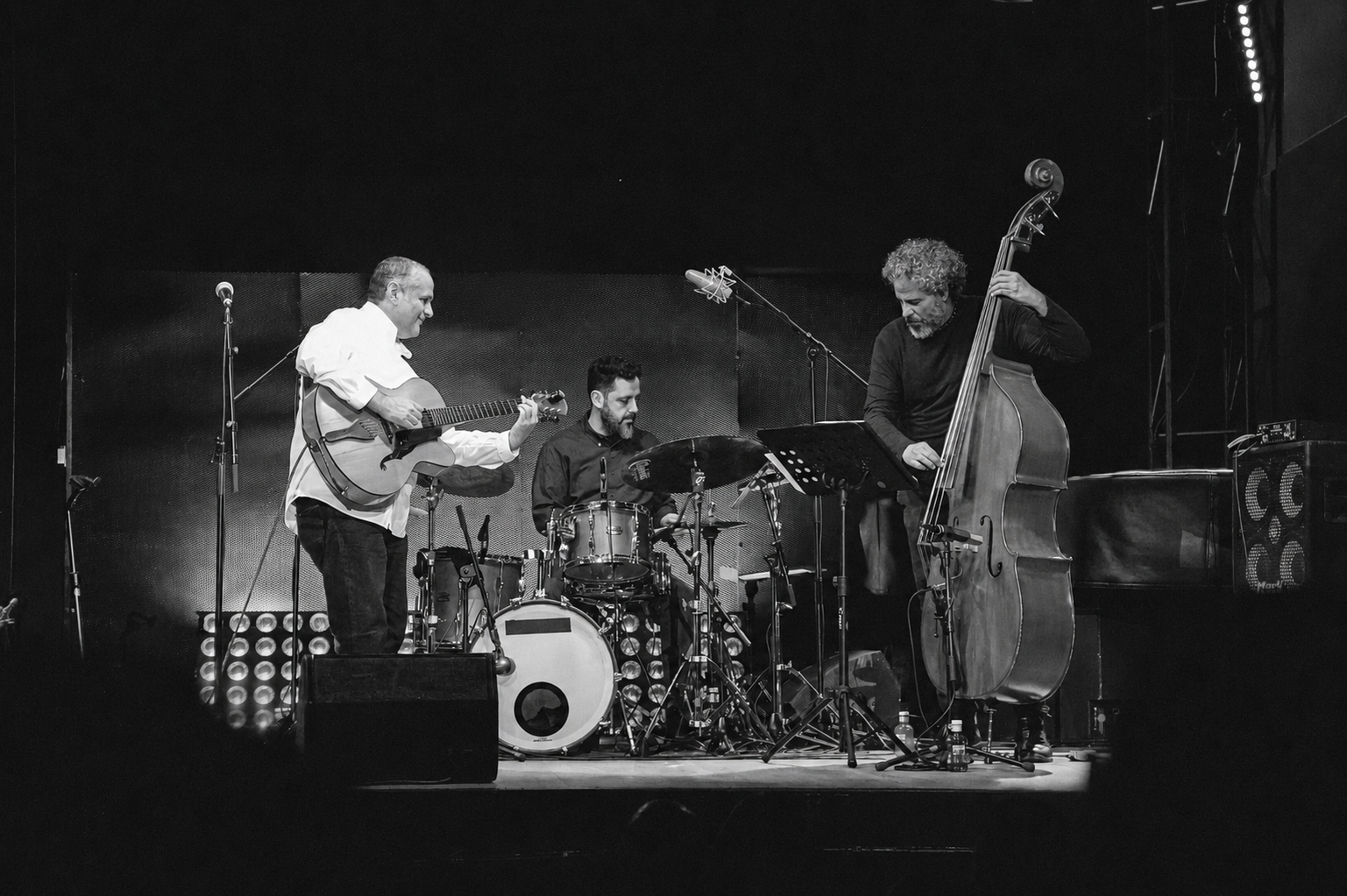 Pedro Barboza Trío en directo